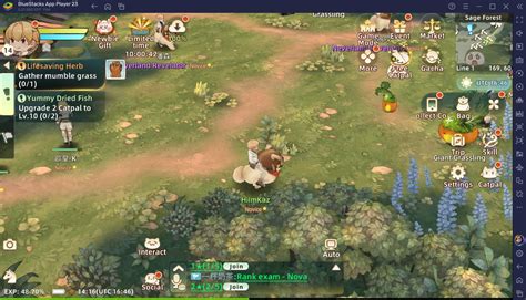 Tree Of Savior Neverland Beginner S Guide To Master The Basic Gameplay