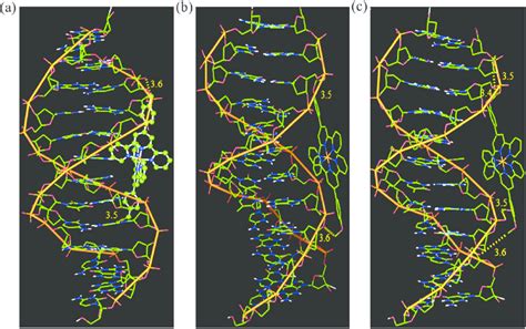 Molecular Docked Models Of Complexes 1 A 2 B And 3 C With The