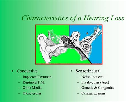 Ppt Hearing Testing Powerpoint Presentation Free Download Id 2751323