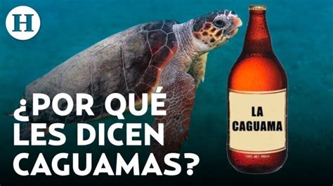 Cu Nto Mide Una Caguama De Cerveza Todo Lo Que Necesitas Saber