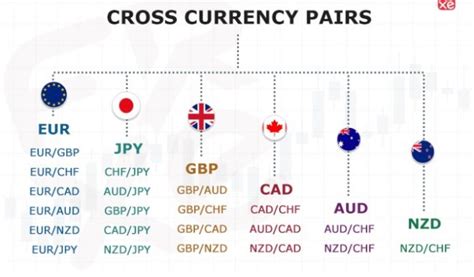 Ultimate Guide To Forex Trading For Beginners Oasdom