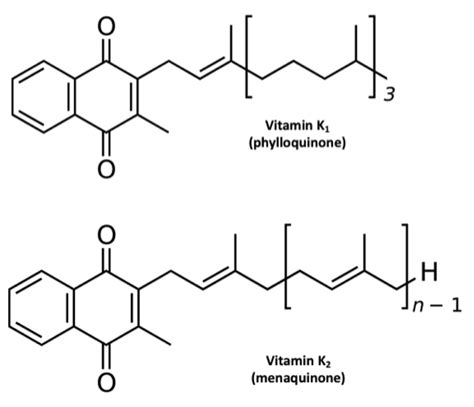 Vitamin K2 Structure