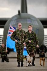 RAF Police Dogs Lead the Way - War On Terror News