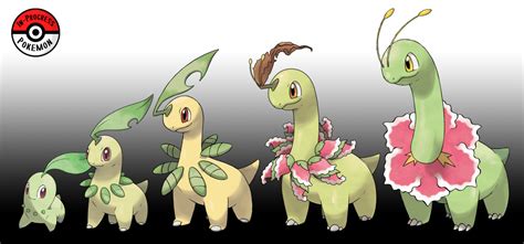 Chikorita Evolution