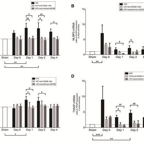 Lung Levels Of Nlrp A Protein And B Mrna Txnip C Protein And