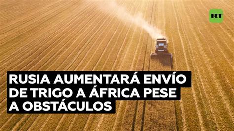 Rusia planea aumentar exportación de trigo a África pese a los