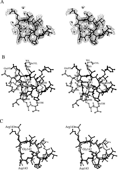 A Stereo View Of The 2fo Fc Electron Density Map Corresponding To