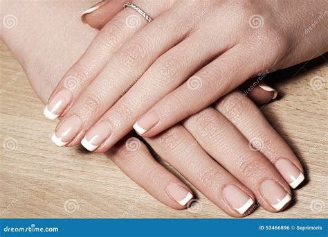 Nails With Perfect French Manicure Care For Female Hands Stock