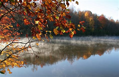 Fall in the Shenandoah Valley: How to Witness One of the Best Foliage Displays in the United ...