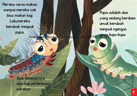 Ebook Sama Atau Berbeda Ebook Anak