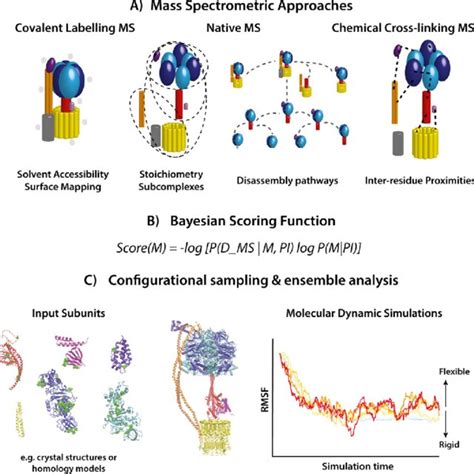 Strategy For Protein Assembly Modeling A Solvent Accessibility