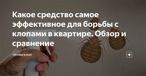 Какое средство самое эффективное для борьбы с клопами в квартире. Обзор ...