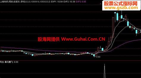 通达信黑马腾飞公式 大牛难逃 无未来副图 配合量能使用 通达信公式 公式网