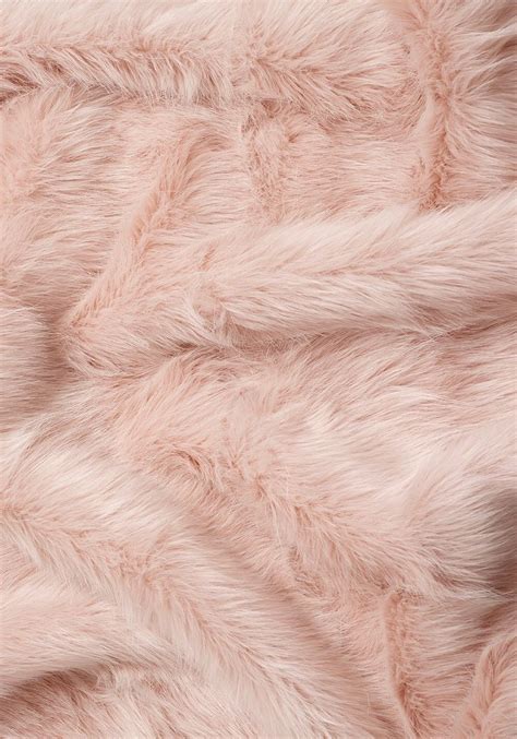 Descubre y comparte las imágenes más hermosas del mundo Pink Fur