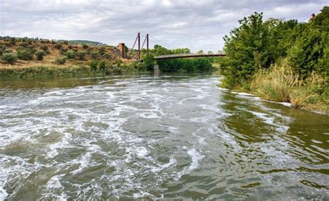 El Río Tajo nacimiento ubicación afluentes y más