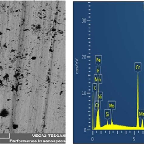 Sem Edx Image Of As Received Stainless Steel Download Scientific Diagram