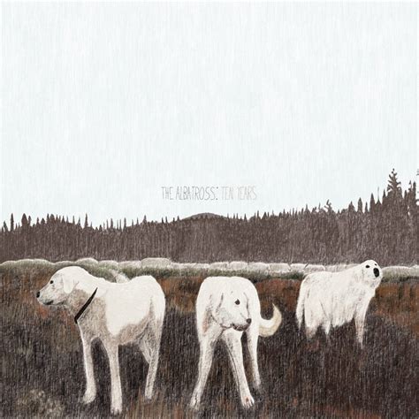 Foxing Announce The Albatross 10th Anniversary Edition With Prince