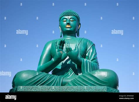 The Great Buddha Of Nagoya Performed The Dharmachakra Mudra At Toganji