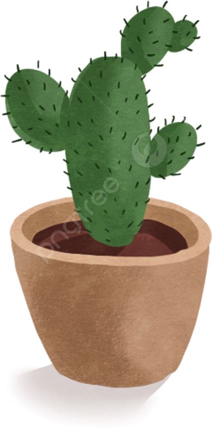 Planta De Cactus Png Plantas Verdes Cactus Planta Png Imagen Para Descarga Gratuita Pngtree