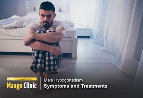 Male Hypogonadism Symptoms and Treatments – Mango Clinic