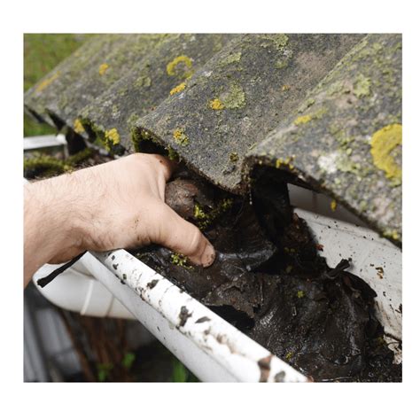 The Hidden Dangers Of Clogged Gutters And How To Avoid Them Gutter