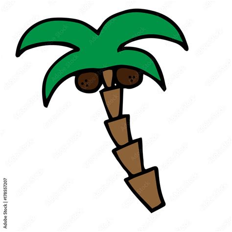 Palm Tree Vector Illustration With Two Coconuts Palm Tree Cartoon