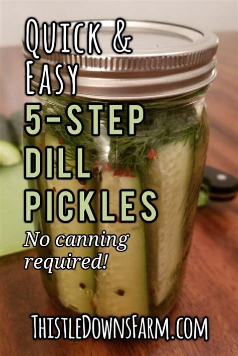 Quick Easy Refrigerator Pickles Artofit