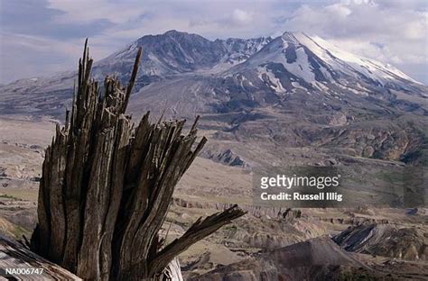 Mount St Helens Location Photos And Premium High Res Pictures Getty