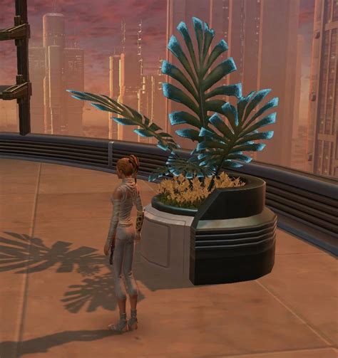 Tor Decorating Potted Plant Manaan Fern Swtor