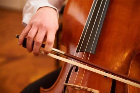 How To Play The Cello Start With Easy Steps