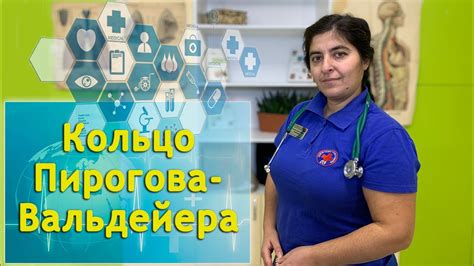 "Кольцо Пирогова - Вальдейера. Аденоиды" занятия проводит Бикбаева ...
