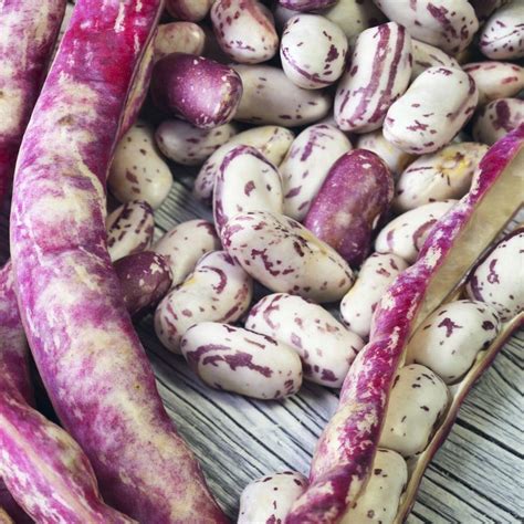 6 Gorgeous Heirloom Bean Varieties You Need for 2016 | Right now is a ...