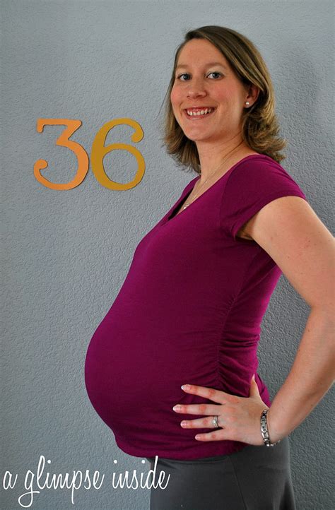 36 Weeks Pregnant The Maternity Gallery