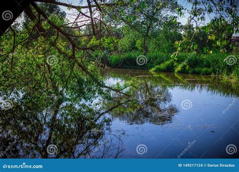 Blue Water And Trees Stock Photo Image Of Natural Europe 149217124