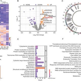 SnoRNA-seq reveals the snoRNA expression profile of CRC tissues A... | Download Scientific Diagram