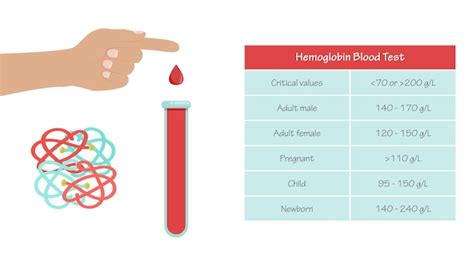 Premium Vector Hemoglobin Hgb Hb Blood Test Medical Vector