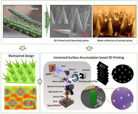 D Printing Of Bioinspired Structures For High Efficient Water Harvest