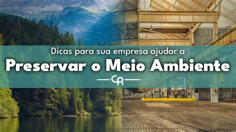 Ambientalismo O Que Significa E Como As Empresas Devem Se Lucox Cl