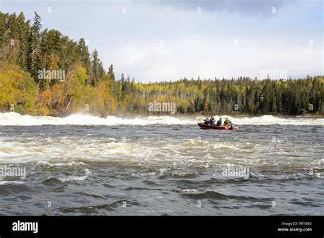 Boreal Forest Canada Hi Res Stock Photography And Images Alamy