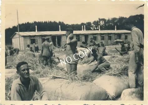 FOTO WK STROHSACKSTOPFEN Ackerarbeiten Nackt Nude Soldaten D EUR PicClick DE