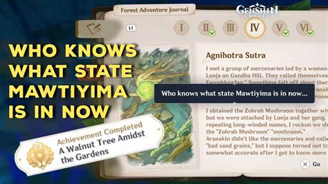 Who Knows What State Mawtiyima Is In Now Forest Adventure Journal