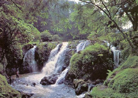 MARIETTE'S BACK TO BASICS: Maribaya Hot Springs and Waterfall near Bandung West Java, Indonesia