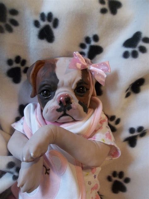 Reborn Custom Made To Order Puppy Dog Artist Doll Princess Pug