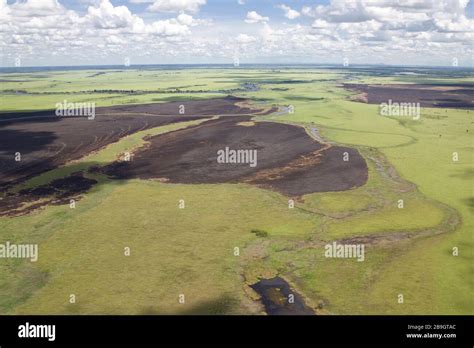 Concepts Deforestation Destruction Environment Hi Res Stock Photography