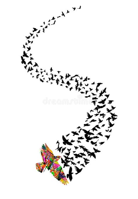 Colorful Flying Birds Birds Migrating To The South Vector