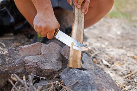 Tinder Vs Kindling Whats The Difference Gone Camping Again