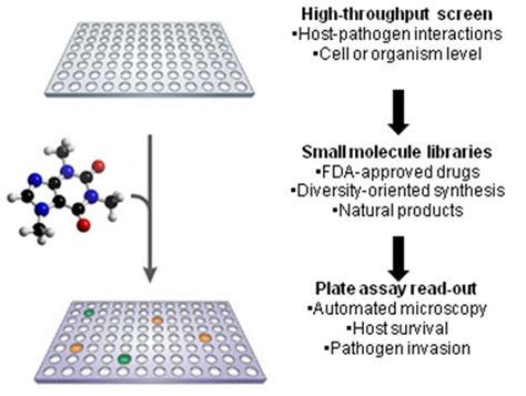 Small Molecule Screens To Identify Inhibitors Of Infectious Disease