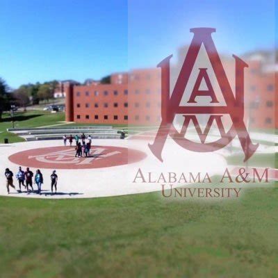 AAMU Admissions on Twitter: "AAMU Waives Fees for Alabama College Application Week 2020 (October ...