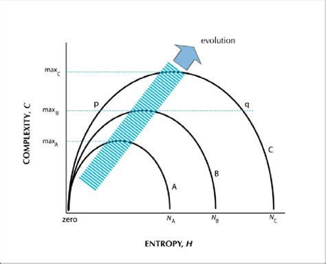 How Complexity Increases With Evolution Download Scientific Diagram