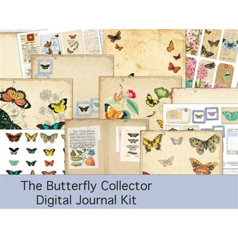 Butterfly Collectors Kit In 2022 Vintage Paper How To Age Paper